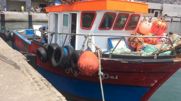 Pescadores na cerca sanitária podem aceder a apoio financeiro que compensa perda de rendimentos