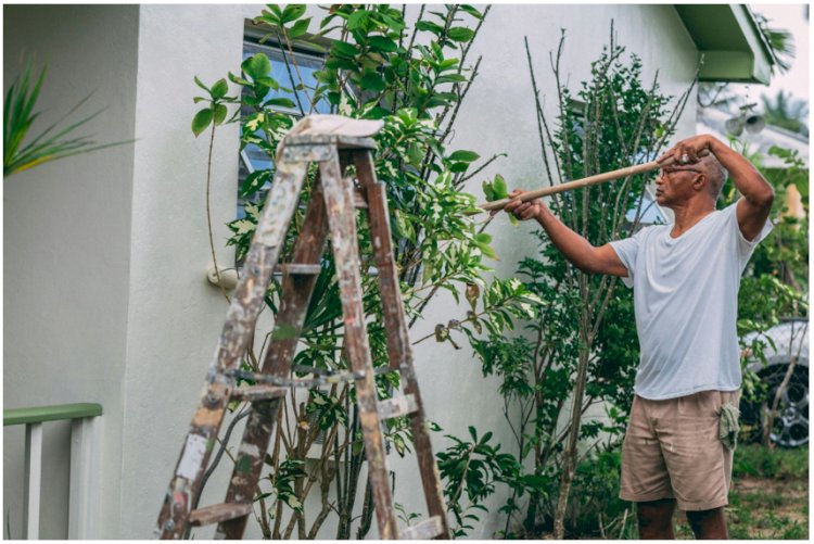 Projetos de melhoria da casa DIY amigos do ambiente que acrescentam valor